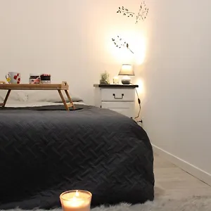 T2, Meublé Et Chaleureux; Tout Compris, Juste En Face De La Gare Appartement